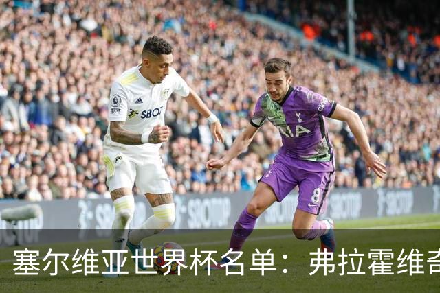 塞尔维亚世界杯名单：弗拉霍维奇领衔 古德利在列
